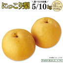 【ふるさと納税】《 選べる 内容量 》 にっこり梨 約5kg / 約10kg 【2025年10月上旬発送開始】(茨城県共通返礼品:大子町) 梨 なし 果物 くだもの フルーツ にっこり