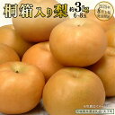 【ふるさと納税】《 桐箱入り 》 梨 約3kg (6~8玉) 【2025年8月上旬発送開始】(茨城県共通返礼品:大子町) なし 果物 くだもの フルーツ おまかせ 旬