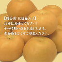 茨城県牛久市の画像2
