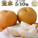 131位! 口コミ数「0件」評価「0」《 選べる 内容量 》 豊水 約5kg / 約10kg 【2025年9月上旬発送開始】(茨城県共通返礼品:大子町) 梨 なし 果物 くだもの フルーツ