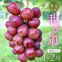 【ふるさと納税】《 選べる 房数 》【桐箱入り】 我が道 1房 2房【2025年9月上旬発送開始】(茨城県共通返礼品:大子町) シャインマスカット ウインク 葡...