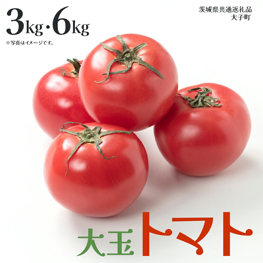 【ふるさと納税】《 選べる 内容量 》大玉 トマト 3kg / 6kg (茨城県共通返礼品：大子町) 野菜 フルー..