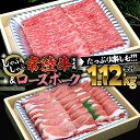 【ふるさと納税】【 しゃぶしゃぶ用 】 常陸牛 ( モモ ) × ローズポーク コラボ セット 1.12kg A4 A5 ランク モモ 牛肉 肉 にく すき焼き 赤身 豚ロース ロース ブランド豚 豚肉 1