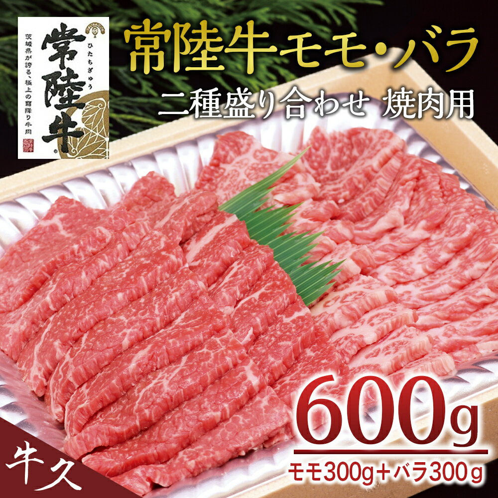 yӂ邳Ɣ[Łz헤퐷荇킹 ēp 600g i  300g + o 300g j A4 A5N  o ē BBQ  Zbg Hה Ⓚ