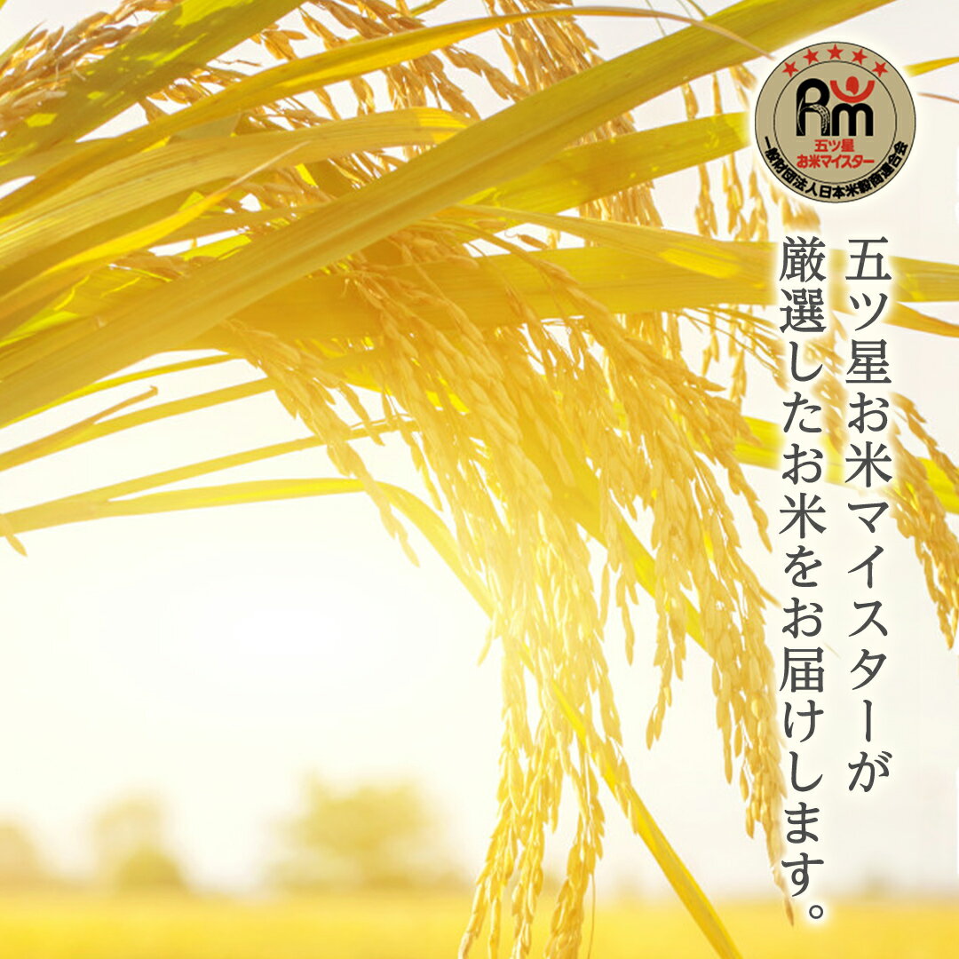 【ふるさと納税】 《 令和7年産 》《 食べ比べ セット 》 茨城県産 無洗米 コシヒカリ ・ ミルキークイーン 食べ比べ セット こしひかり 米 コメ こめ 五ツ星 高品質 白米 精米 時短 お弁当 期間限定 新米