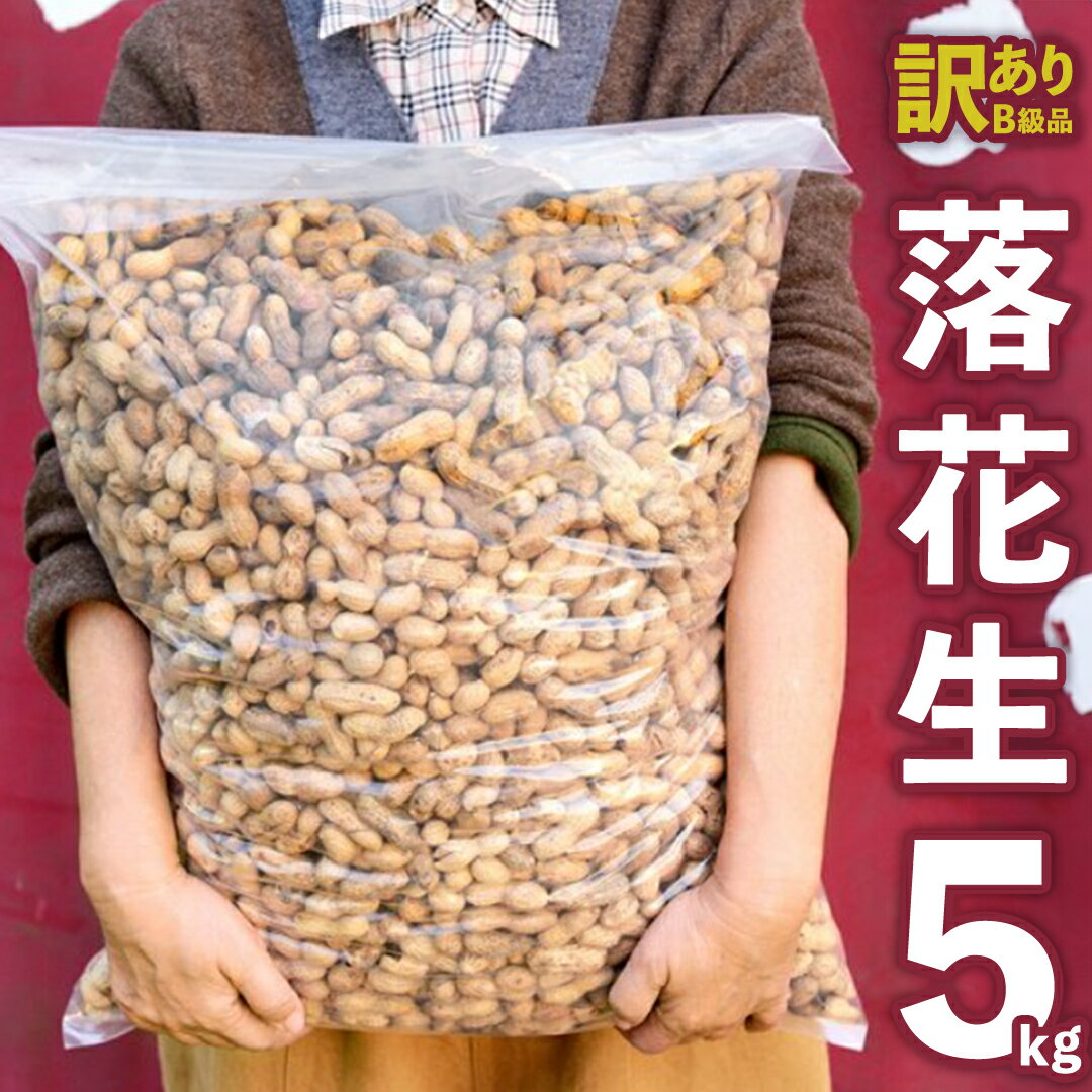 【ふるさと納税】【 訳あり 】 メガ B級 落花生 5kg 業務用 野菜 豆 特産品 農園 自家栽培 ピーナッツ...