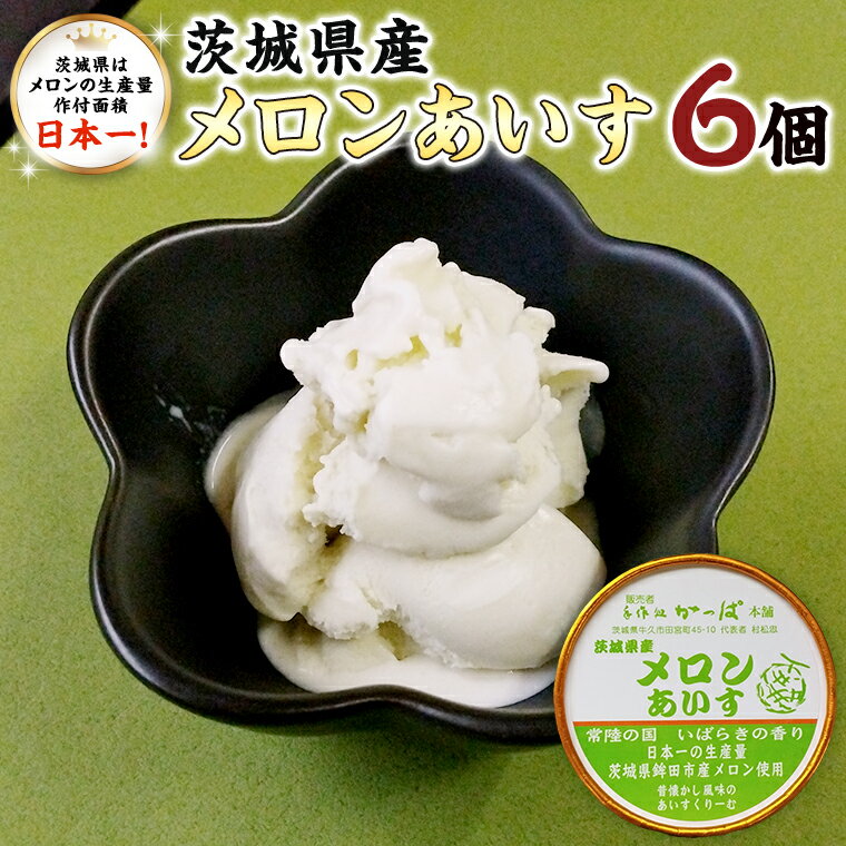 【ふるさと納税】茨城県産 メロン あいす 6個 アイス デザート めろん 贈り物 カップ 冷凍