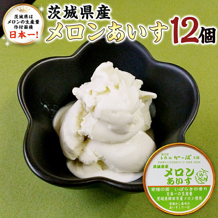 25位! 口コミ数「0件」評価「0」茨城県産 メロン あいす 12個 アイス デザート めろん 贈り物 カップ 冷凍