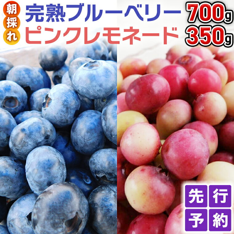 ≪先行予約≫[ 数量限定 ] 朝採れ 完熟 ブルーベリー 700g と ピンクレモネード 350g の 詰合せ セット 食べ比べ (1パックあたり 350g ) [ 2024年 6月上旬頃より発送開始 ] 冷蔵 ベリー 甘い 甘酸っぱい 新鮮 フルーツ 果物 贈り物 国産農園 産地直送