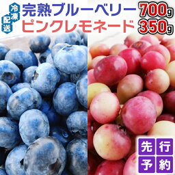 【ふるさと納税】≪先行予約≫【 数量限定 】 冷凍 完熟 ブルーベリー 700g と ピンクレモネード 350g の 詰合せ セット 食べ比べ (1パックあたり 350g ) 【 2024年 6月上旬頃より発送開始 】 ベリー 甘い 甘酸っぱい 新鮮 フルーツ 果物 くだもの 贈り物 国産 農園 産地直送