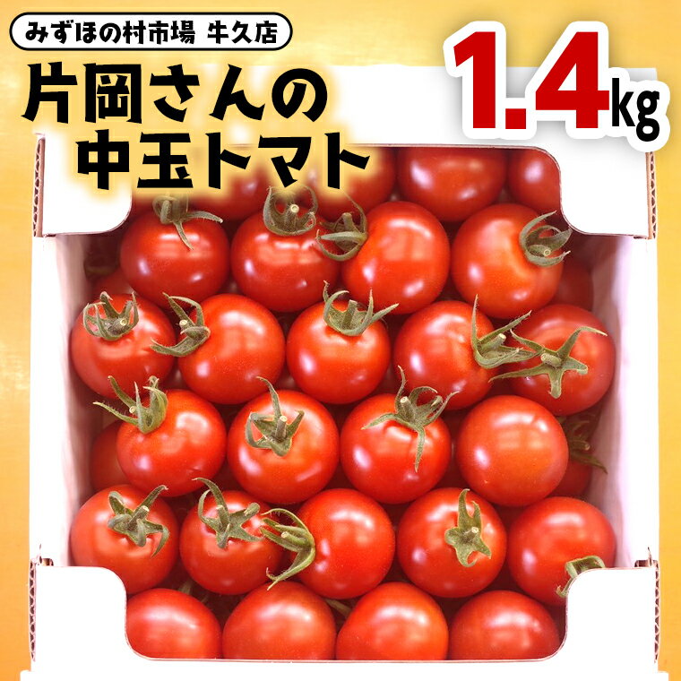 【ふるさと納税】片岡さんの 中玉トマト 1.4kg 新鮮 野菜 トマト とまと