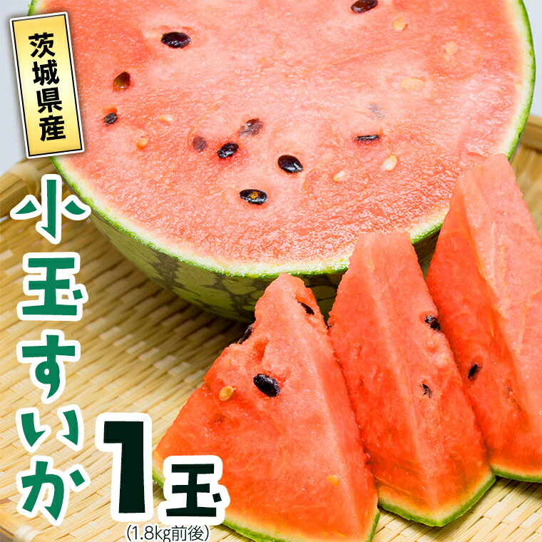 5位! 口コミ数「0件」評価「0」茨城県 小玉すいか 1玉 新鮮 スイカ すいか 甘い 果物 フルーツ 夏野菜 旬