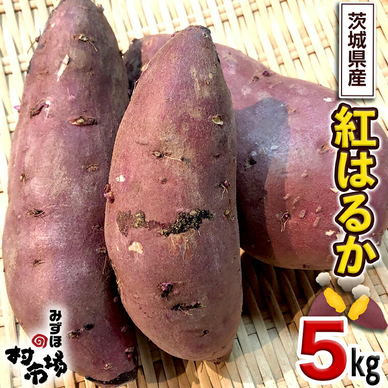 【ふるさと納税】 さつまいも 「 紅はるか 」 5kg 旬 甘い 芋 いも サツマイモ スイーツ 野菜