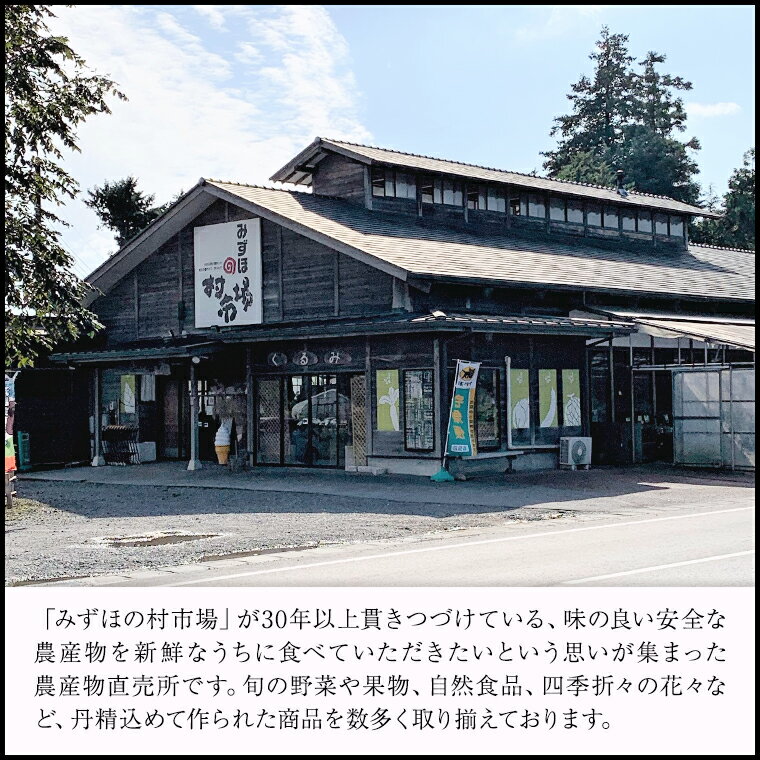 【ふるさと納税】みずほの村市場牛久店 石臼引き 常陸秋そば (粉) そば 蕎麦 ソバ 蕎麦粉 そば粉 おいしい 美味しい グルメ お取り寄せ 国産 茨城 お土産 贈り物 贈答 お祝い ギフト 2