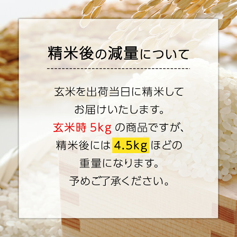 【ふるさと納税】【 定期便 3ヶ月 】 精米日出荷 みずほの村市場牛久店 関さんの こしひかり 4.5kg ( 玄米時 5kg ) 新鮮 米 特別栽培農産物 認定米 令和5年産