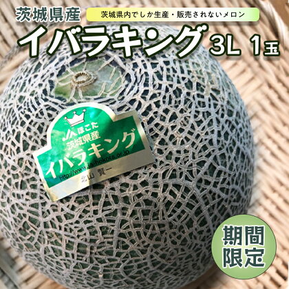 茨城県産 イバラキング （ 黄肉 ） メロン 果物 フルーツ 青肉 めろん 3L 1玉 期間限定 旬