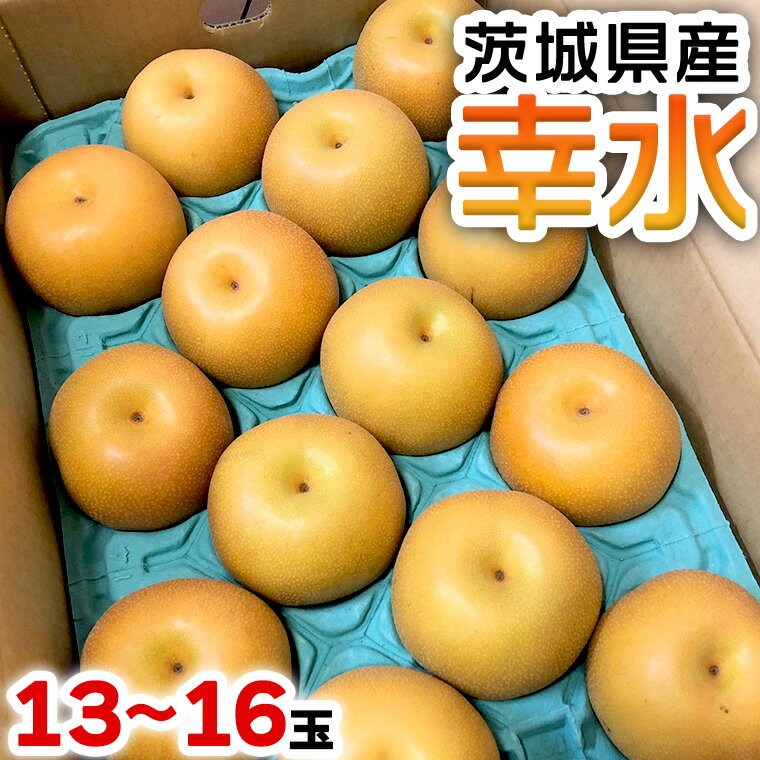 【ふるさと納税】 茨城県産 梨 「 幸水 」13～16玉 なし 和梨 日本梨 果物 フルーツ 新鮮 旬 果実 期間限定 国産のサムネイル