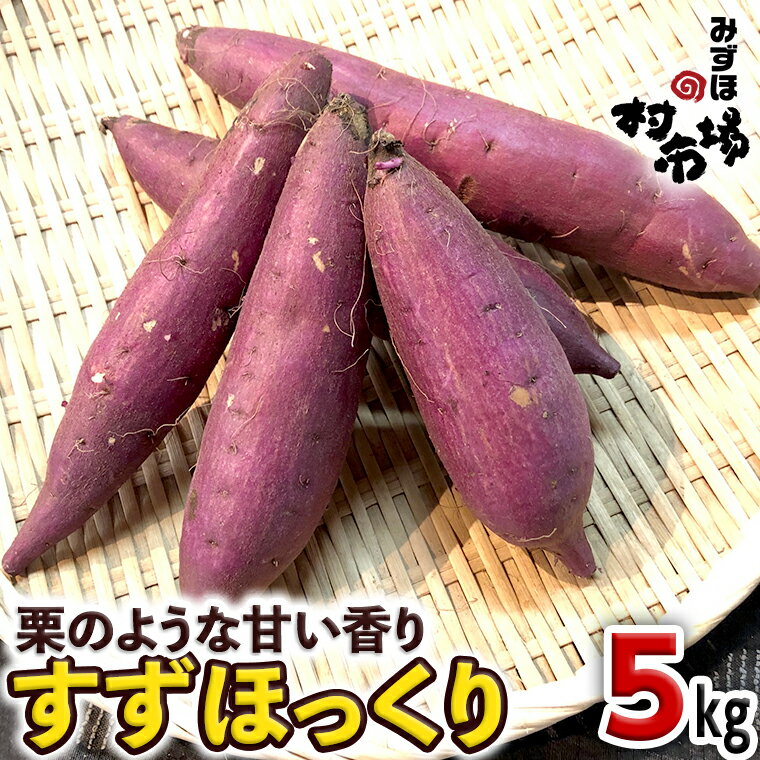 13位! 口コミ数「3件」評価「5」さつまいも 「 すずほっくり 」 5kg 旬 甘い 芋 いも サツマイモ スイーツ 野菜