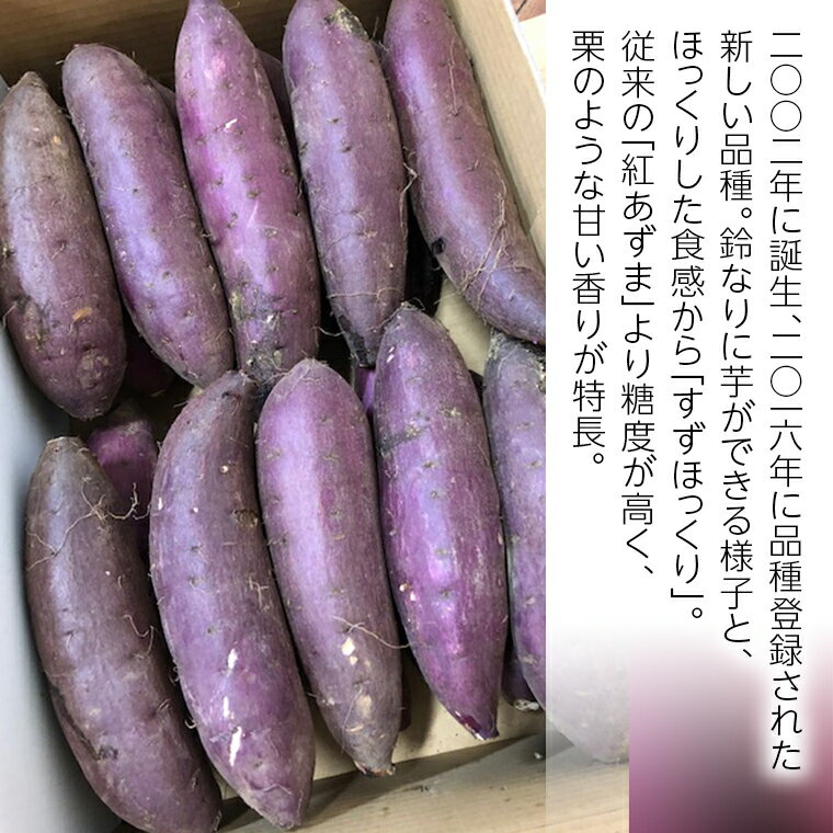 【ふるさと納税】さつまいも 「 すずほっくり 」 5kg 旬 甘い 芋 いも サツマイモ スイーツ 野菜