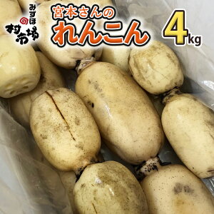 【ふるさと納税】2023年産 宮本さんの れんこん 4kg 新鮮 野菜 旬 レンコン