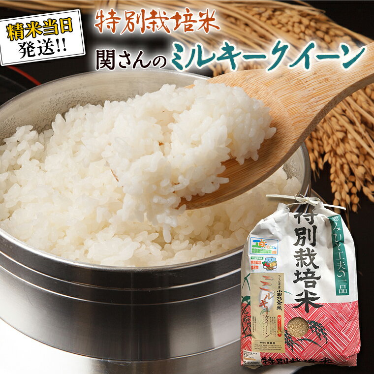 [ 特別栽培米 ] 令和5年産 精米日出荷 関さんの「 ミルキークイーン 」 新鮮 精米 米 こめ コメ 特別栽培農産物 認定米