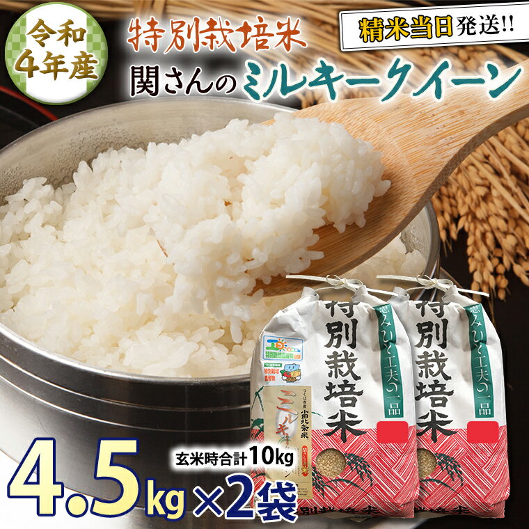 最大56％オフ！ 特別栽培米 ミルキークィーン 白米 10kg