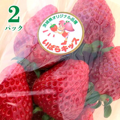 茨城県産 いちご 「 いばらキッス 」 2パック イチゴ 果物 フルーツ 新鮮 旬 果実