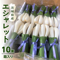 【ふるさと納税】 茨城県産 エシャレット （ 箱入り ・ 10束 ） 野菜 旬 料理 漬物 炒め物 新鮮野菜 珍しい 野菜 やさい 変わった 野菜 綺麗 飾り アクセント