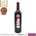 【ふるさと納税】 【 数量限定 】 マスカット・ベーリーA2024 A+ 750ml ワイン ミディアムボディ お酒 牛久シャトー 酸味 ワイナリー 赤ワイン ぶどう 葡萄 贈り物