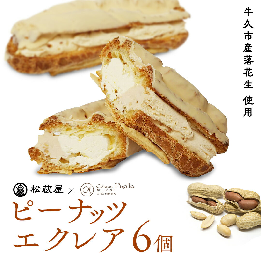 【ふるさと納税】ピーナッツ エクレア 6個 甘い おいしい 美味しい ピーナツ スイーツ おうちカフェ お菓子 おやつ お取り寄せ 国産 茨城 特産品