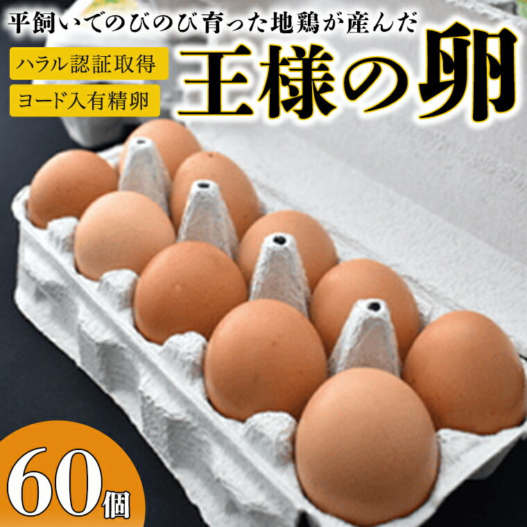 2位! 口コミ数「0件」評価「0」王様の卵 ヨード入 60個 平飼い 地鶏 有精卵 濃厚 卵 こだわり卵 たまご