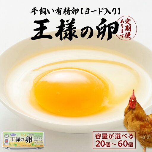 【ふるさと納税】\ 選べる 発送方法・内容量 / 王様の卵 ヨード入 20個・40個・60個 単品発送 3ヶ月 6ヶ月 連続定期便 単品発送 平飼い 地鶏 有精卵 濃厚 卵 こだわり卵 たまご 【ふるさと納税】\ 選べる 発送方法・内容量 / 王様の卵 ヨード入 20個・40個・60個 単品発送 3ヶ月 6ヶ月 連続定期便 単品発送 平飼い 地鶏 有精卵 濃厚 卵 こだわり卵 たまご