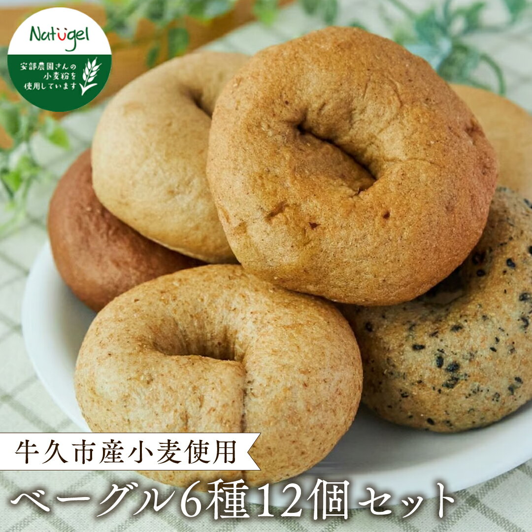 牛久市産 小麦 の ベーグル 6種・12個セット 全粒粉 シナモン レーズン ココア チョコ あずき ごま いちじく 無添加 農薬不使用 小麦 おうちカフェ お菓子 おやつ モーニング ブランチ 朝食 パン お取り寄せ 詰め合わせ セット お土産 プチギフト 贈り物