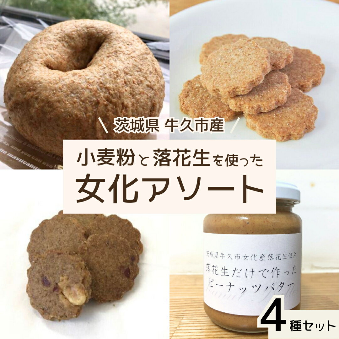 13位! 口コミ数「0件」評価「0」茨城県 牛久市産 小麦粉 と 落花生 を使った 女化アソート 4種 セット 詰合せ 全粒粉 パン ベーグル クッキー ピーナッツバター お菓･･･ 