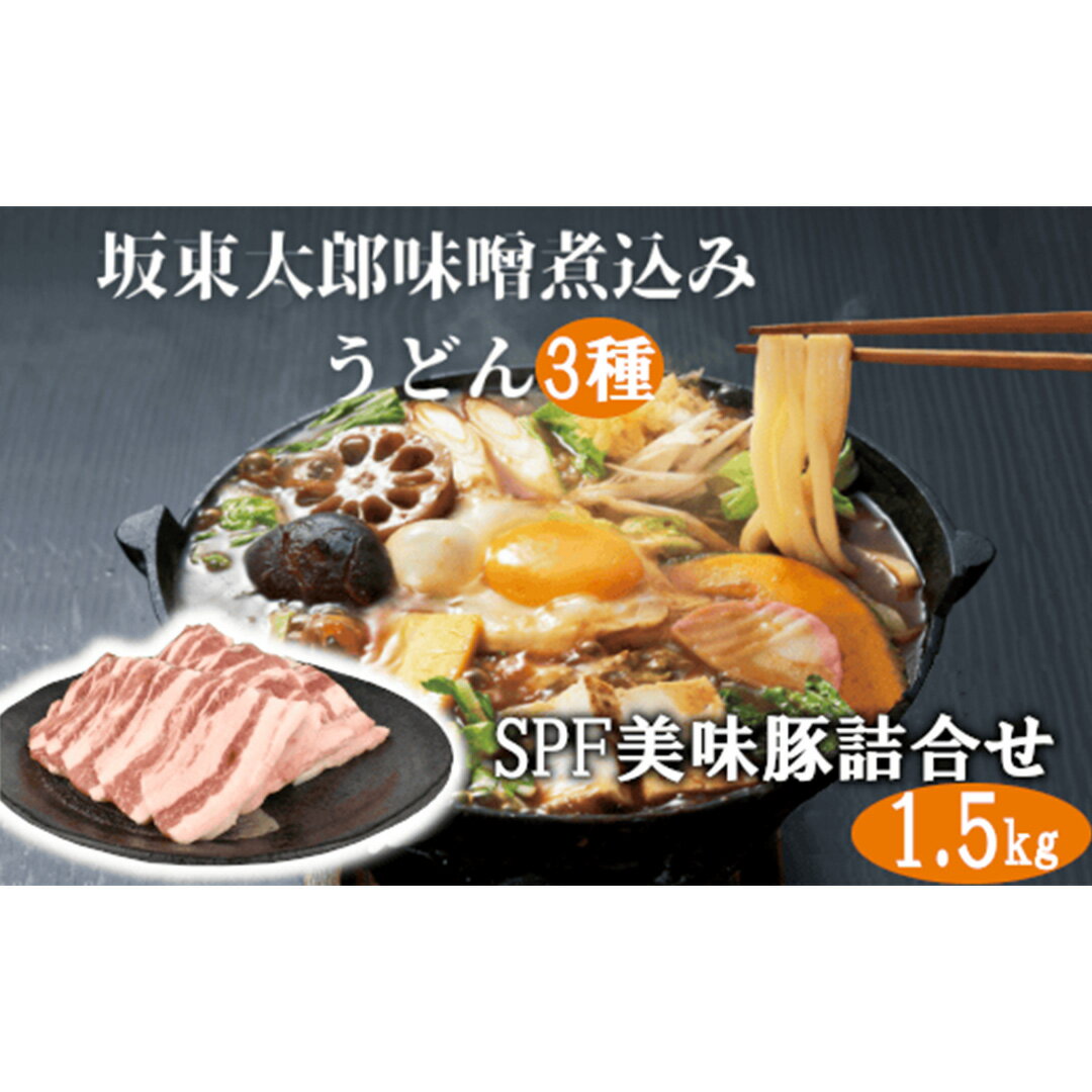 【ふるさと納税】 味噌 煮込み うどん と SPF 美味豚 