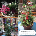 茨城県牛久市の画像2