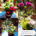 茨城県牛久市の画像3