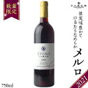 エピヌ メルロ 2021 茨城県産 牛久醸造場 日本ワイン 赤ワイン 750ml × 1本 やや辛口 ミディアムボディ お酒 贈り物 ラズベリー