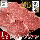 《 常陸牛 特選A5 》シャトーブリアン 200g×5枚 1kg ( 茨城県共通返礼品 ) 国産 お肉 肉 ヒレ ヘレ テンダーロイン A5ランク ブランド牛