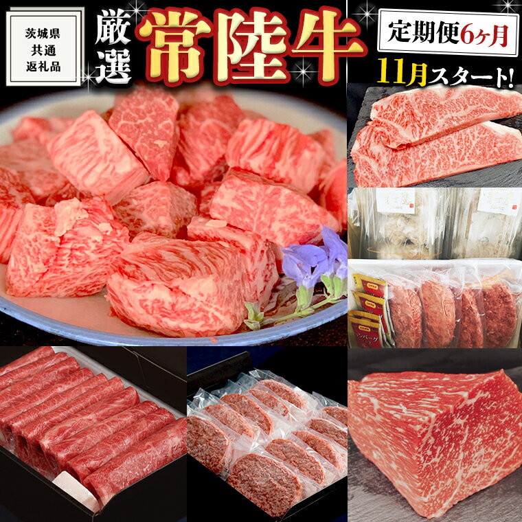 《 定期便 11月スタート 》 厳選 『 常陸牛 』 6ヶ月セット （ 茨城県共通返礼品 ） 肉 焼肉 国産 霜降 サーロイン もも ハンバーグ ステーキ すき焼き しゃぶしゃぶ