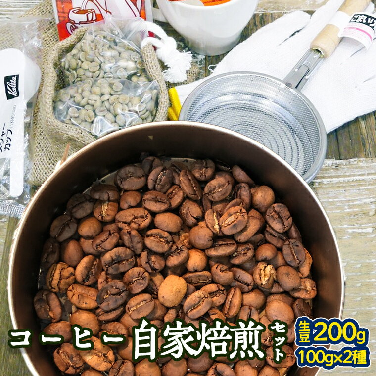 コーヒー 自家焙煎 セット コーヒー豆 200g 2種 × 100g コーヒー ブレンド 生豆 焙煎 初心者 お手軽
