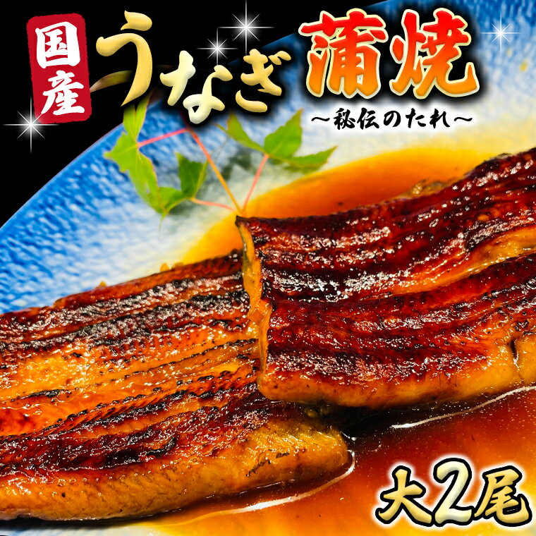 国産 うなぎ 蒲焼 大サイズ 2尾 [ 日本料理 ひたち野いしざき 秘伝 の たれ焼き ] 鰻 ウナギ おいしい 美味しい 蒲焼き かばやき 丑の日 土用の丑の日 土用 グルメ おかず お取り寄せ お土産 贈り物 贈答 お祝い 記念日 ギフト 茨城 魚