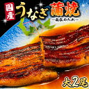 【ふるさと納税】 国産 うなぎ 蒲焼 大サイズ 2尾 【 日本料理 ひたち野いしざき 秘伝 の たれ焼き 】 鰻 ウナギ おいしい 美味しい 蒲焼き かばやき ...