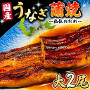 13位! 口コミ数「0件」評価「0」 国産 うなぎ 蒲焼 大サイズ 2尾 【 日本料理 ひたち野いしざき 秘伝 の たれ焼き 】 鰻 ウナギ おいしい 美味しい 蒲焼き かばや･･･ 