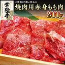 【ふるさと納税】《 和牛 》 常陸牛 焼肉 用 こだわりの 赤身 もも肉 200g 国産 肉 焼き肉 バーベキュー BBQ ブランド牛 牛肉 ギフト 贈り物 お祝い 贈答