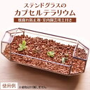 【ふるさと納税】ステンドグラスのカプセルテラリウム 置き型 観葉植物 容器 お土産 贈り物 お祝い 誕生日 プレゼント ギフト