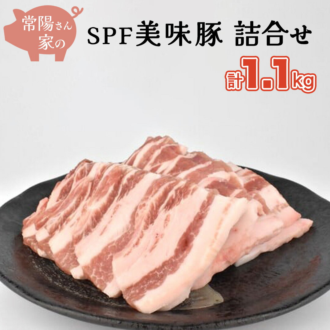 常陽さん家の SPF 美味豚 詰合せ 計 1.1kg 食べ比べ セット 国産 ブランド豚 銘柄豚 茨城 SPF認定 農場 焼肉 焼き肉 豚肉 豚ロース 豚バラ ロース バラ しゃぶしゃぶ お肉