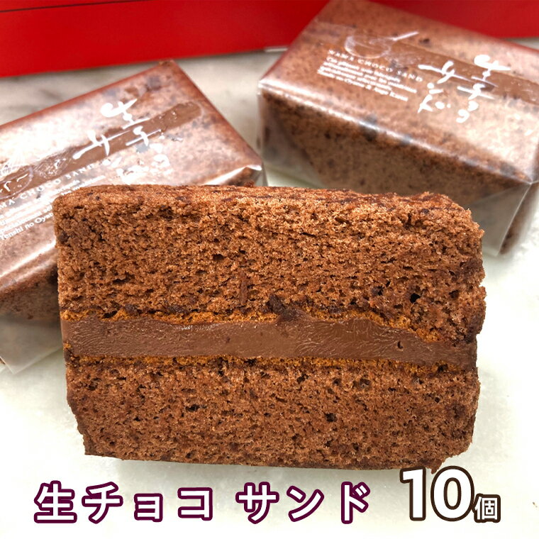[ 数量限定 ] 生チョコ サンド 10個 贅沢 濃厚 スイーツ デザート ケーキ チョコレート 冷凍