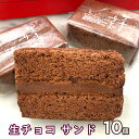 【ふるさと納税】【 数量限定 】 生チョコ サンド 10個 贅沢 濃厚 スイーツ デザート ケーキ チョコレート 冷凍