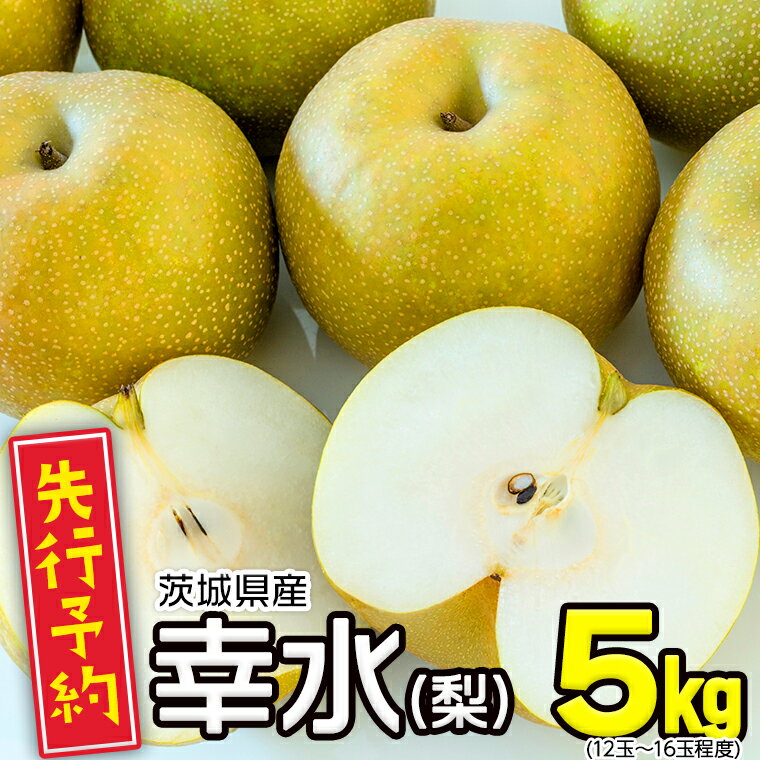 22位! 口コミ数「1件」評価「5」≪先行予約≫ 茨城県産 梨 幸水 （約 5kg ）【 2024年 8月上旬頃より発送開始 】 梨 なし 果物 フルーツ 新鮮 旬 期間限定 ･･･ 